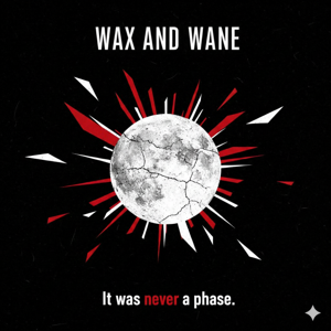 Wax and Wane: A Post-Punk Journey