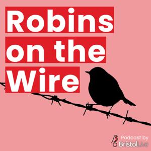 Robins on the Wire