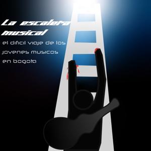 La escalera musical: el difícil viaje de los jóvenes músicos en Bogotá
