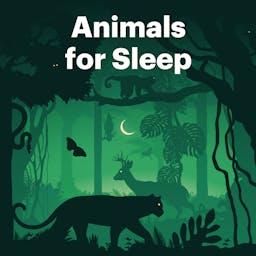 Animals for Sleep