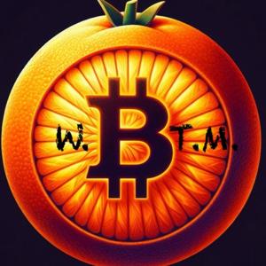 What Bitcoin Taught Me (Audible)