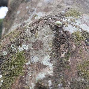 Perspectiva Estudiantil - Karla Suárez