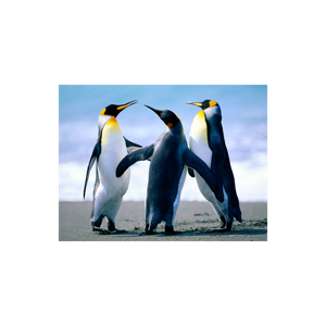 تعاملات فلسفی