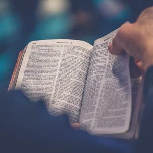 Start Your Day Right