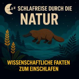 Schlafreise durch die Natur