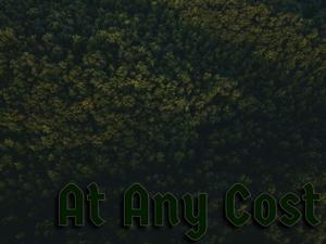 At Any Cost