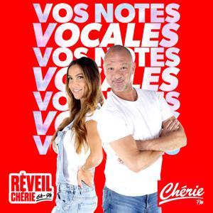 Vos notes vocales