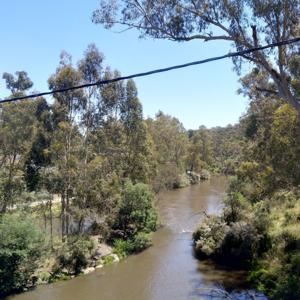 Reading of the Warrandyte Diary articles
