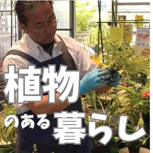 植物のある暮らし