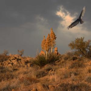 The Art of Creative Healing Podcast