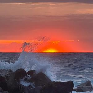 Tulliverse: Ordinary Days, Extraordinary Stories