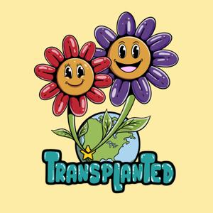 Transplanted