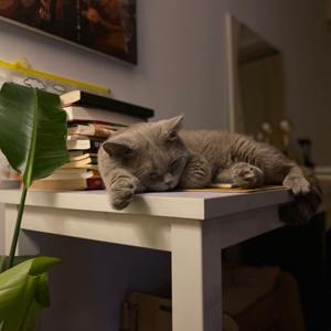 名人学者忆母亲