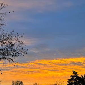 Cultura Latinoamericana