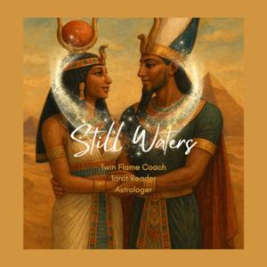 Mirror Souls: The Twin Flame🔥 Project