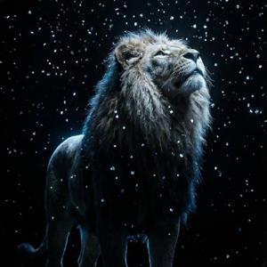 Edmart Martina T.A Edmo Jonathan