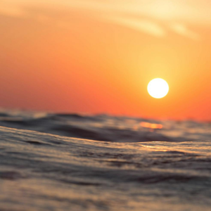 Immortal Echoes, Mortal Words