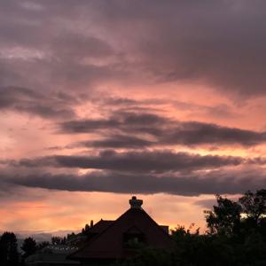dzakyem's swell