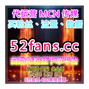 自助购买数据服务小红书笔记互动提升及粉丝增长和内容优化完整策略