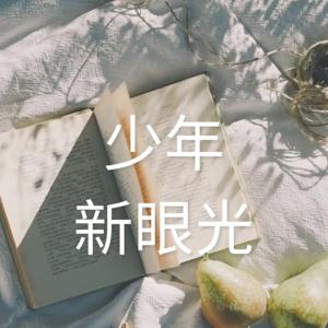 AI少年新眼光