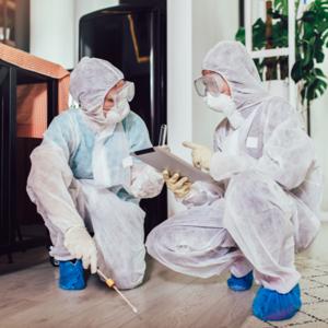 Accurate Pest Control Services LLC – Serving Dubai, Ajman, and Sharjah