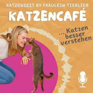 Katzencafé - Katzen besser verstehen