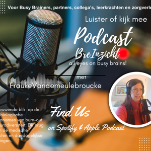BreInzicht - Frisse blik op Busy Brains