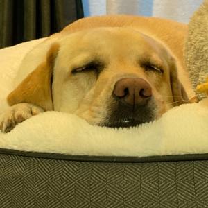 サッカーノート