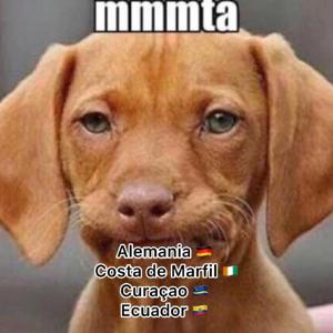 El rol del psicólogo en la educación