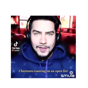 Chestnautts roasting on a opern fyy