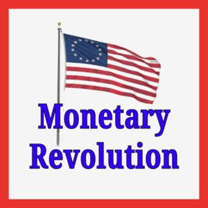 Monetary Revolution: A Primer