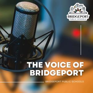 The Voice of the District