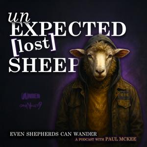 unExpected Lost Sheep