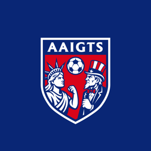 An American Idiots Guide to Soccer