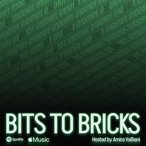 Bits to Bricks with Amira Valliani