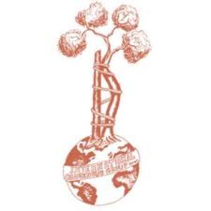 ICM 2025: What Happened in Istanbul