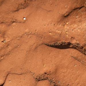 “Il segreto dei Sumeri”