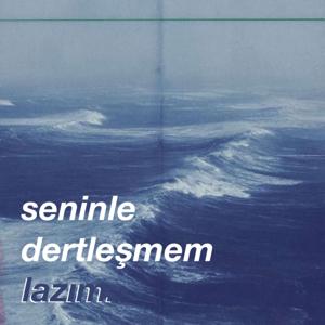 seninle dertleşmem lazım