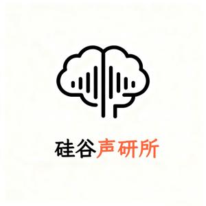 硅谷声研所