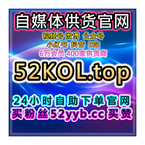 自媒体买流量平台 数据分析与精准流量引导助力内容创作突破瓶颈