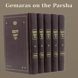 Gemaras on the Parsha