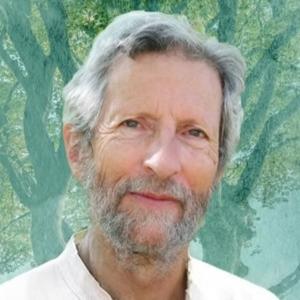 Change Your Mind to Change Your World with Stephen Fulder