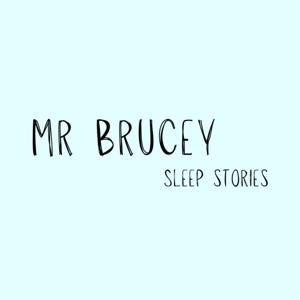 Mr Brucey Sleep Stories