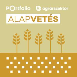 Alapvetés