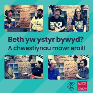 Beth yw ystyr bywyd?