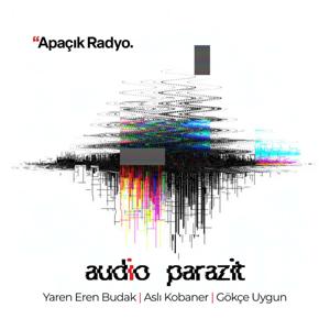 Audio Parazit