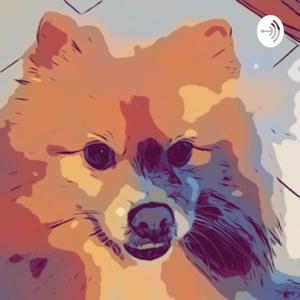 Shoreses random thought (politics, education, and others!)