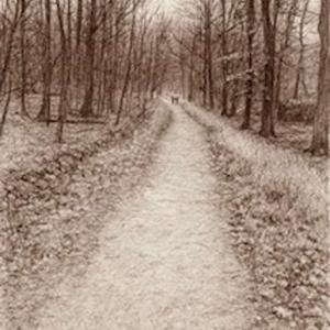 Embodied Wisdom: A Walk and a Talk with Dr. Brooke