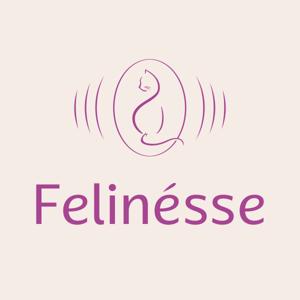 Felinésse