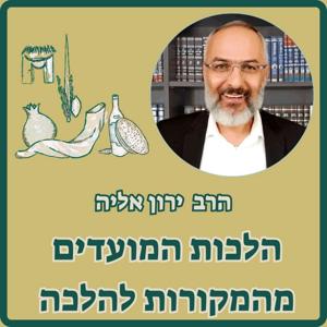 הלכות המועדים